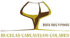 Rota dos Vinhos - Bucelas, Carcavelos e Colares